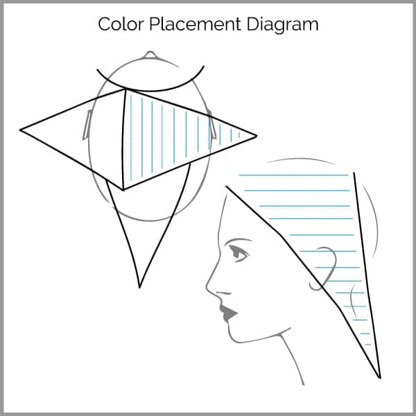 Money Piece: 3 Toning Formulas + Color Placement Diagram L'ANZA Leah Freeman Ivan Hernandez