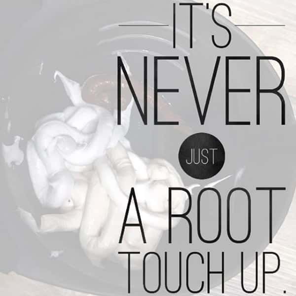 gray-coverage-root-touch-up-article-2