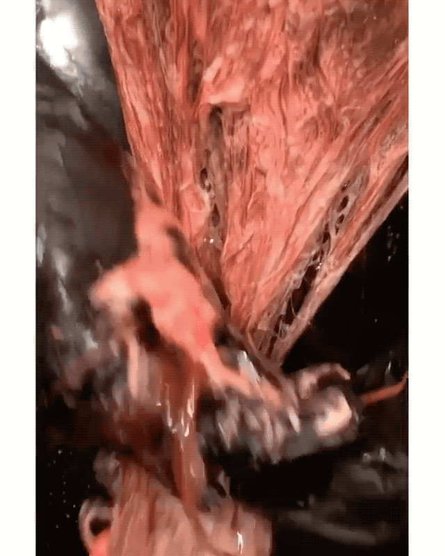 tips-introducing-glampoo-services-into-the-salon-1