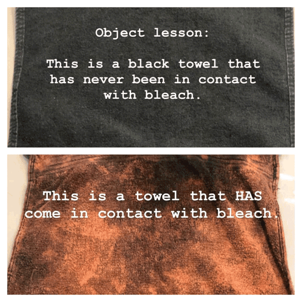 bleachedtowl-katieclairedoeshair-featimage