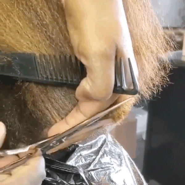 kara-btcu-arc-cutting-feat