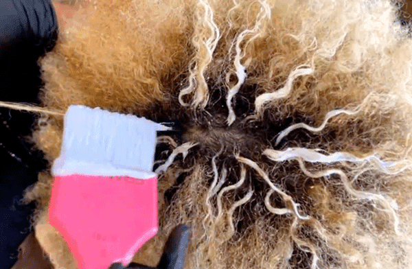 curlfactor-olapex-btcu-pintura-highlights-feat