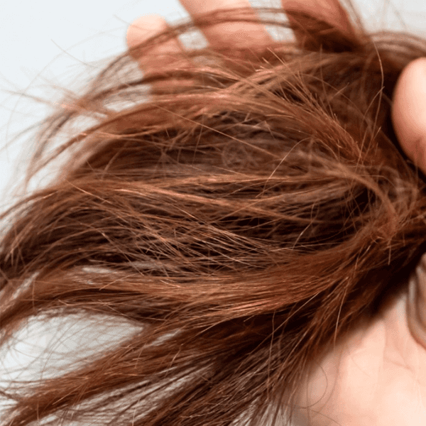 Zotos_Professional_Split_Ends_Wellphoria_1