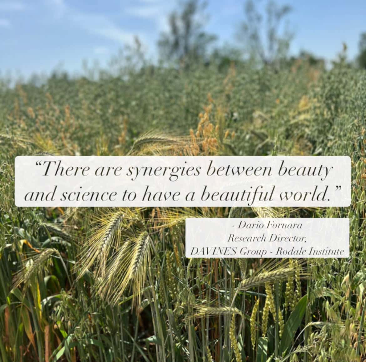 davines-rodale-quote-feat