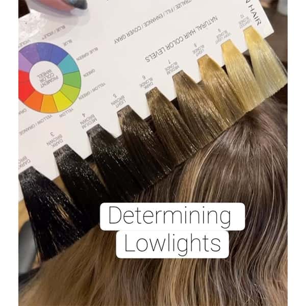 jackwinnpro-lowlights-feat
