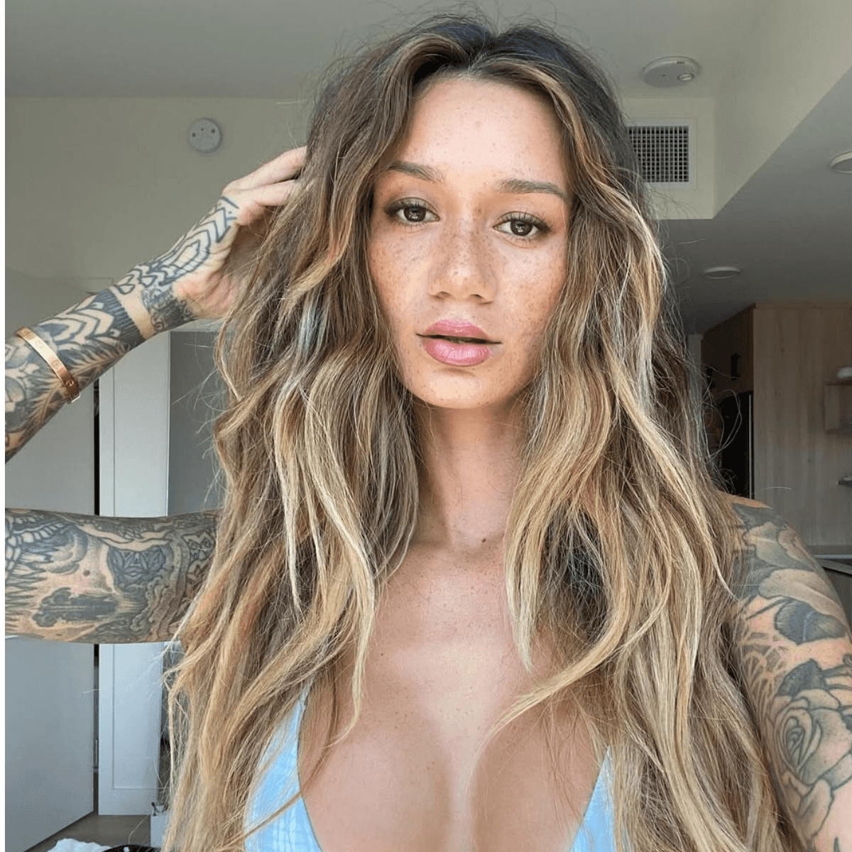 brunette ombre with long hair
