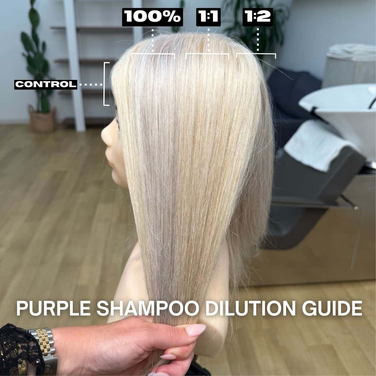 FINAL-FEAT-purple-shampoo-guide-carly-skp-1