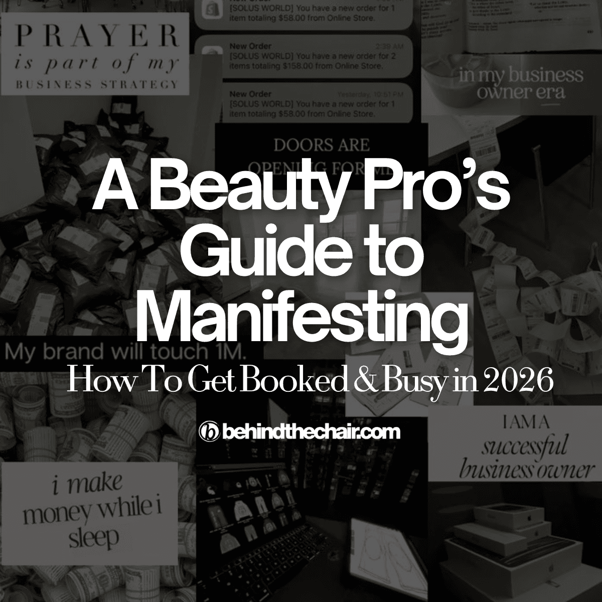 beauty pro's guide to manifesting
