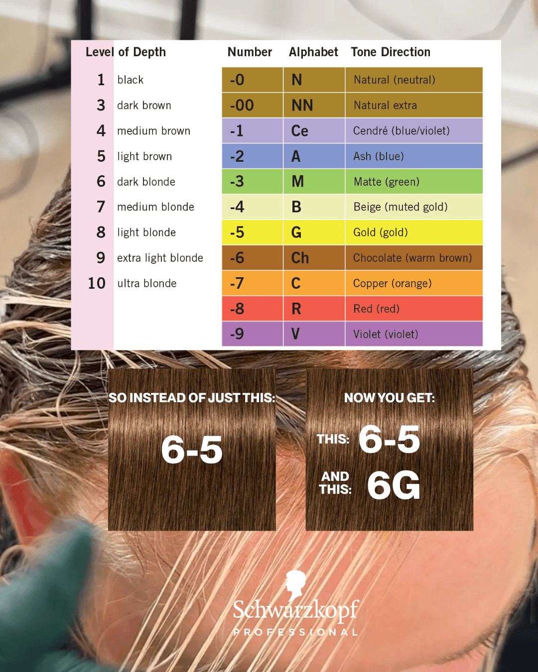 feat image with color chart and hair