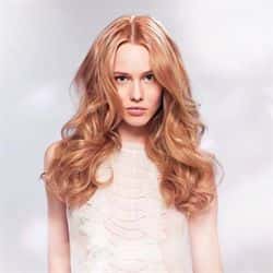 Wella final_orig_large