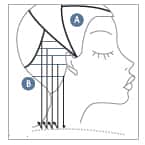 26161Cut Step 3_orig