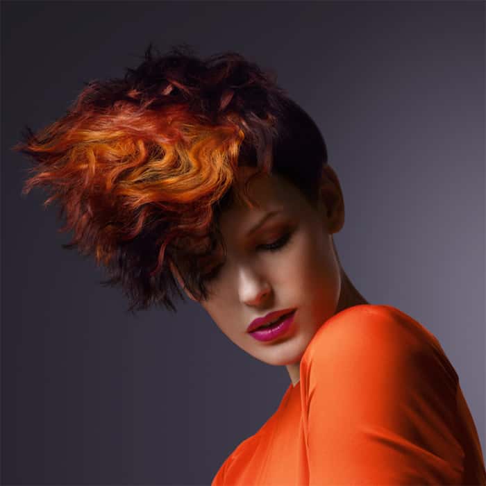 28594Goldwell_Hanna_orig