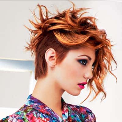 40789wella model_orig