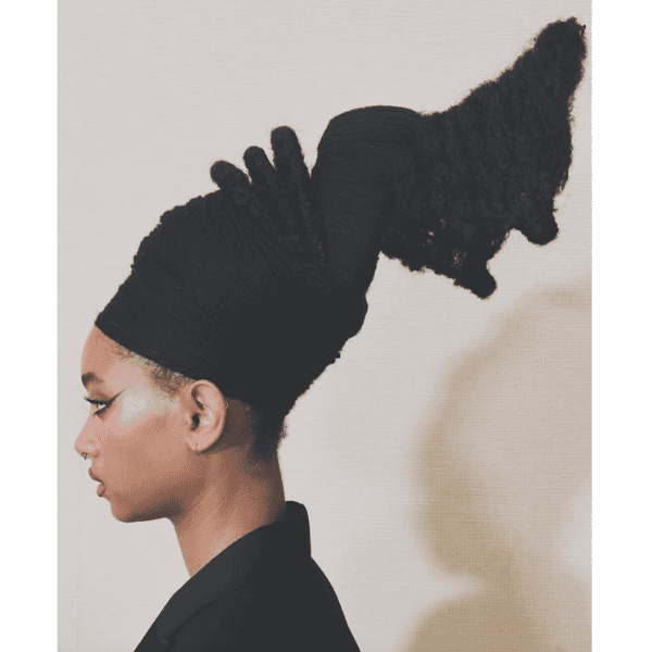 Willow Smith's hair by @vernonfrancios at Met Gala 2024