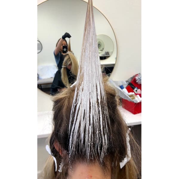 mallery-share-hellobalayage-painting-tips-hairline-nape-8