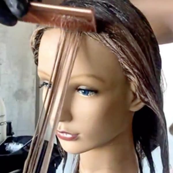 Gray Coverage Blonde Partial Highlights Base and Money Piece Toner How To Video Alfaparf Milano Cassie Siskovic @cassisiskovic