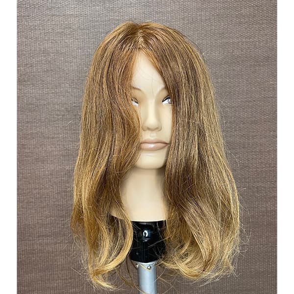 moroccanoil-fb-live-rochelle-custom-partial-highlight-before