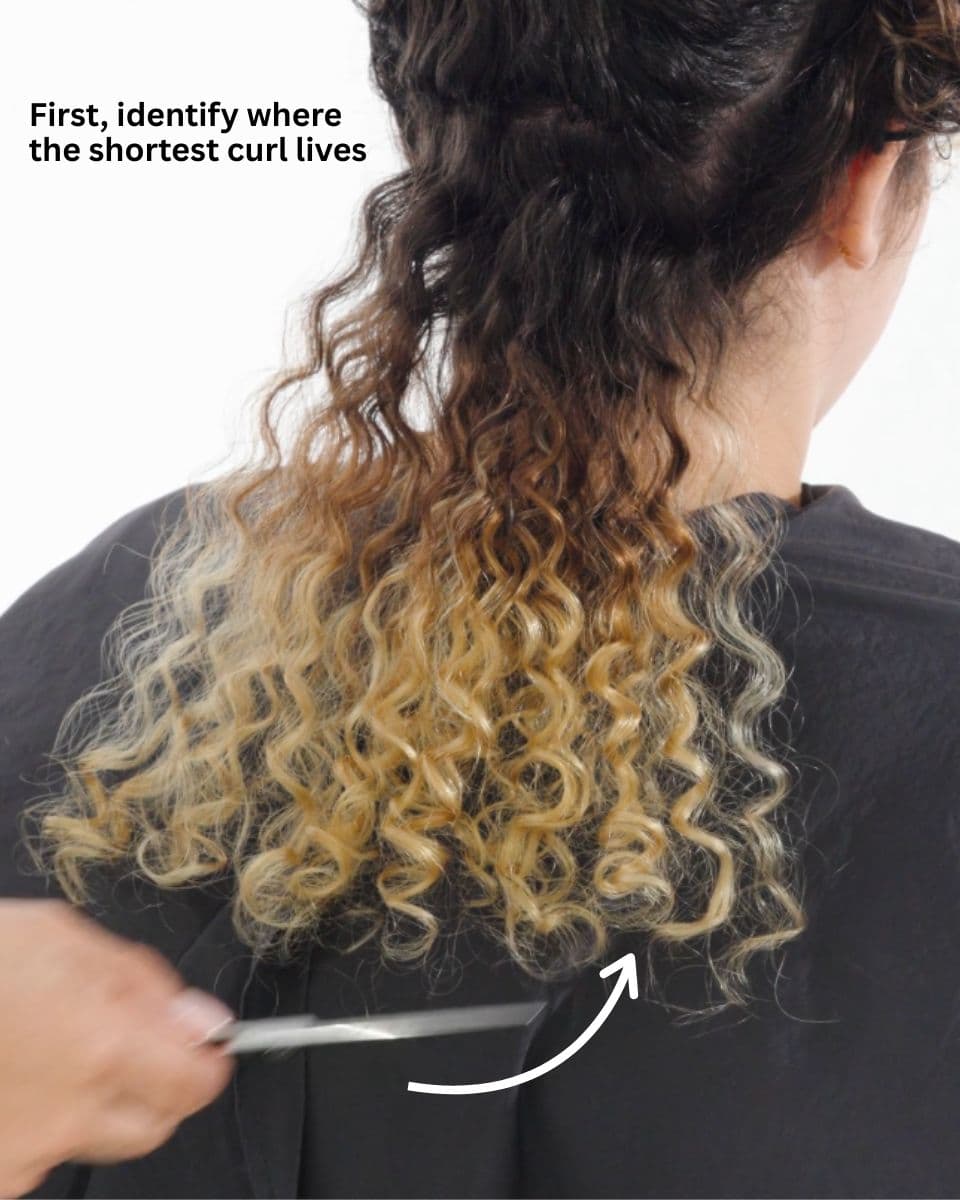 How To Build Volume In Curly Hair Without Losing Length @nubiarezo BTC University